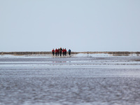Mandø Touren